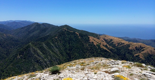 Trailstompers Guide to SF Bay Area Trail Running - Home