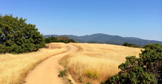 Trailstompers Guide to SF Bay Area Trail Running - Home